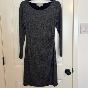 Loft long sleeve dress